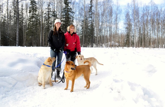 Joe, Leslie and Lindsay take the Hunter and the Labs out for a romp in the March snow