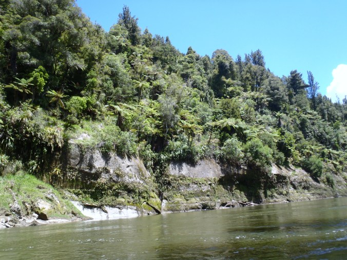 The beautiful scenery of the Wanganui River begins