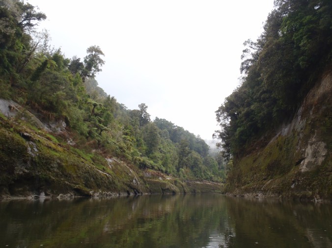 The start of the incredible scenery on the river.
