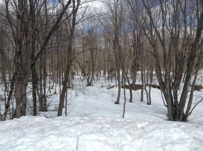 April 9th, 2014. Still 2+ feet of snow in the woods here in Maine!