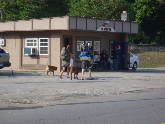 Lindsay, Hunter, George & Bear walking the "AT" in Hot Springs, NC