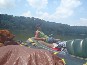 Turtle just chillaxin' on the river.