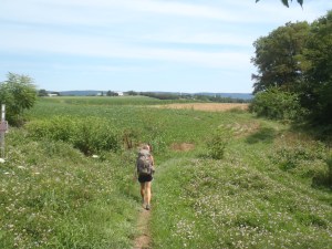 Lindsay walking through the southern PA fields