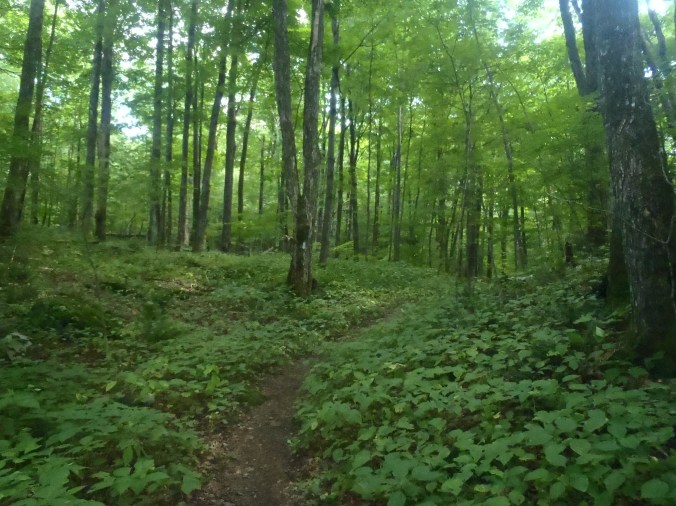 This is what Vermont looks like... when it's dry!