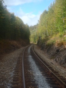 Train tracks through the 100 Mile Wilderness... Clay trying to get artistic with a shot