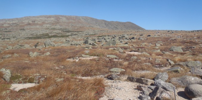 The view of our last mile on the AT, crossing the infamous tablelands on the Hunt TRail